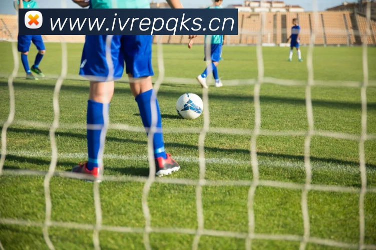 App Interface Preview